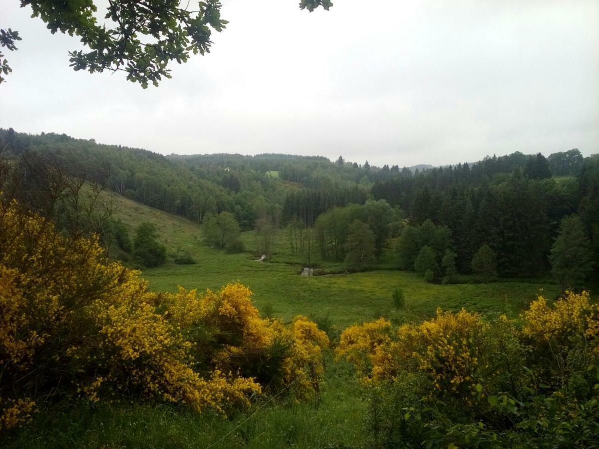 Vila La Ferme De Bertogne Exteriér fotografie