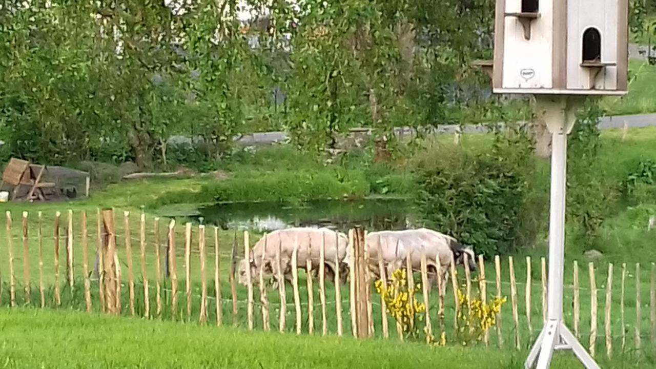Vila La Ferme De Bertogne Exteriér fotografie